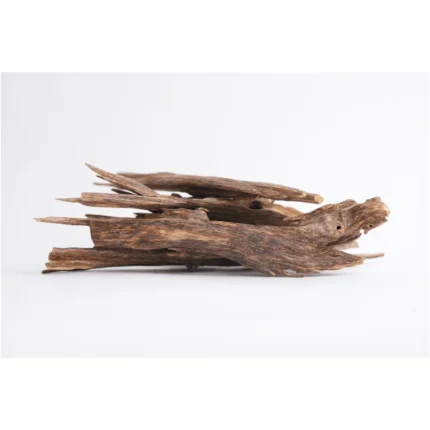 BIG SALLA — Oud Wood